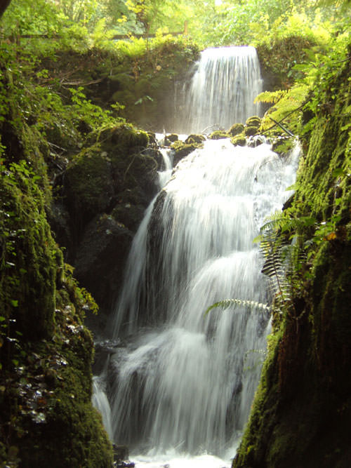 Where to Visit In Devon - Canonteign Falls