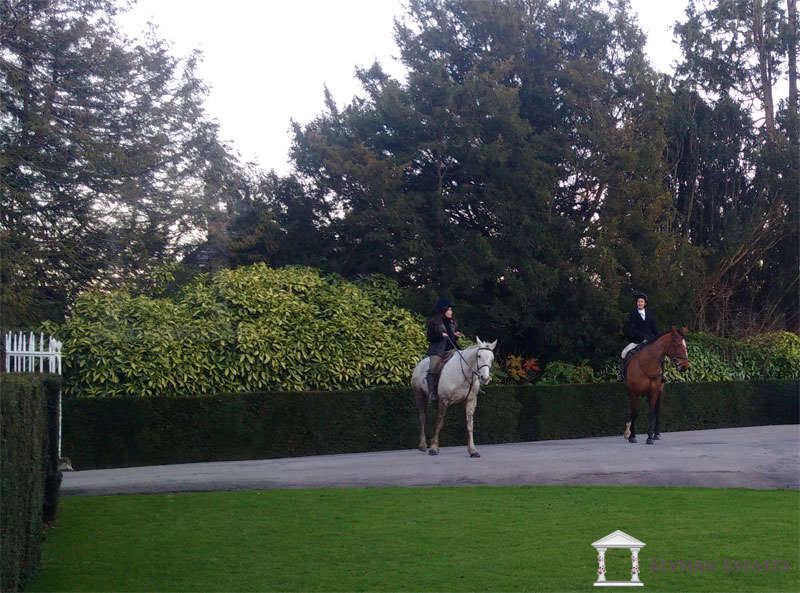 Susan Li riding her horse