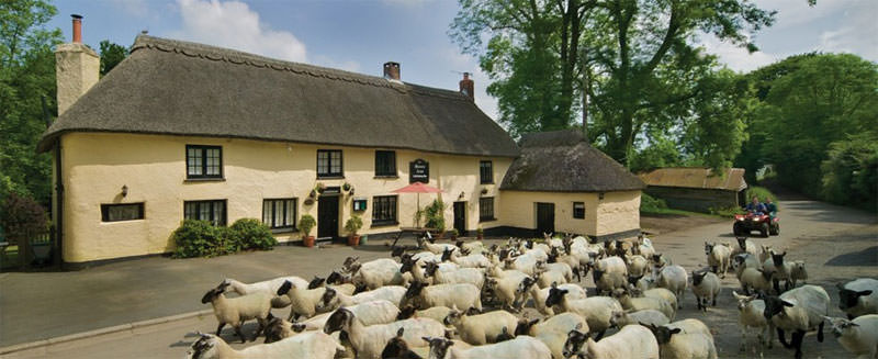 The Masions Arms in Devon