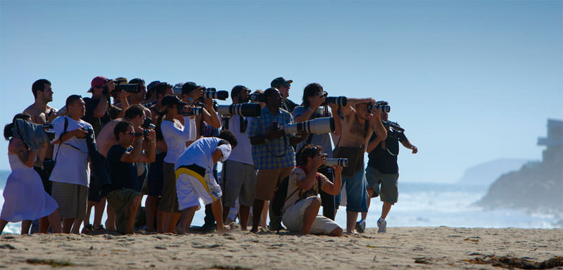 Paparazzi Hen Party