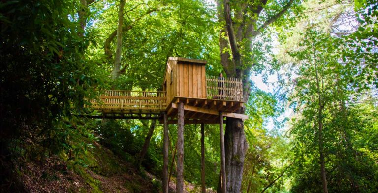Aldourie Castle tree house Aldourie Castle tree house