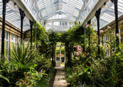 Photo of the conservatory at Broughton Hall 