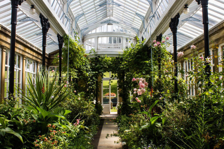 Photo of the conservatory at Tempest Park