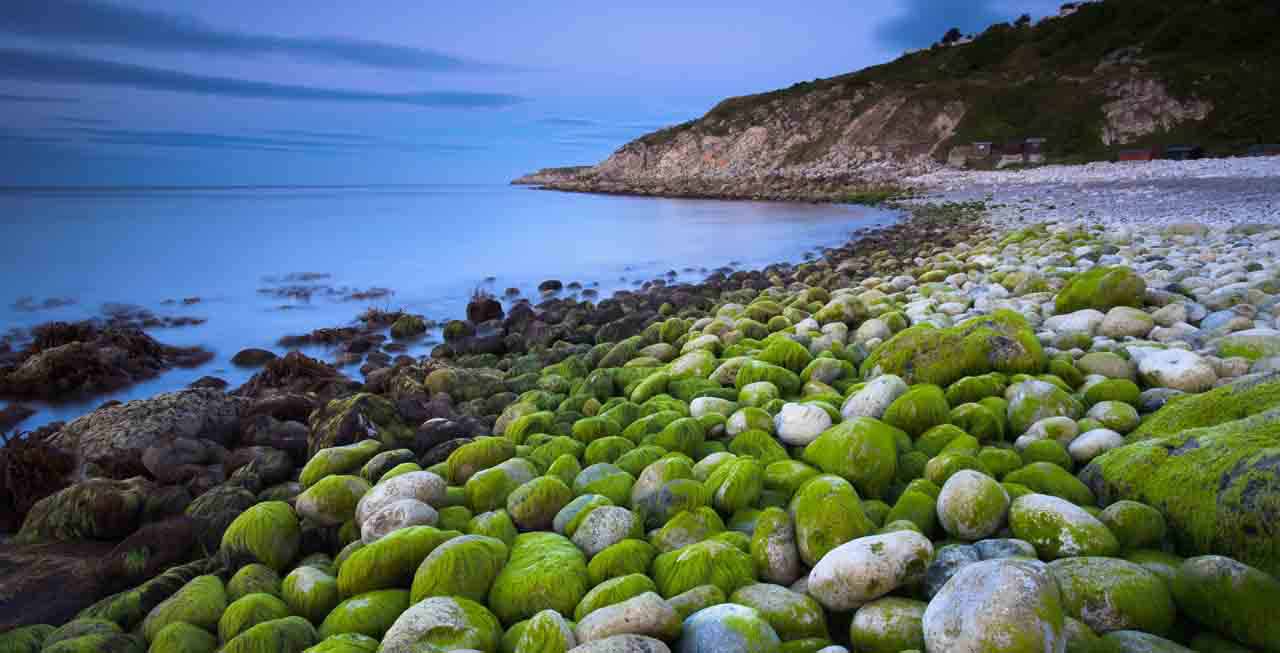 Enjoy activities on the beach near to Cove Lodge Enjoy activities on the beach near to Cove Lodge