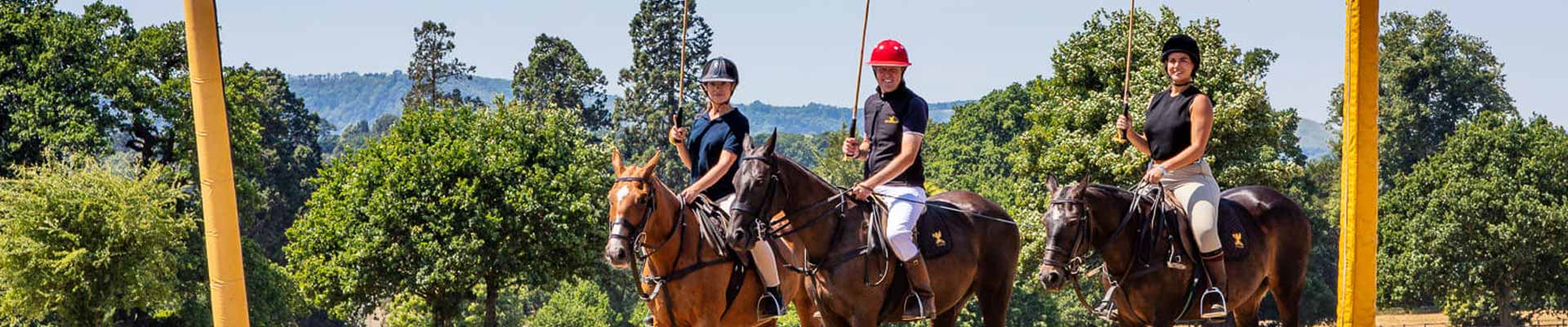 Guests playing Polo at Cowdray House Image of guests playing Polo