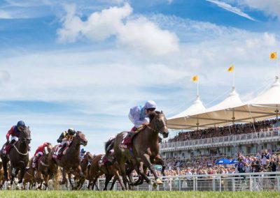 Photo of Goodwood horse racing