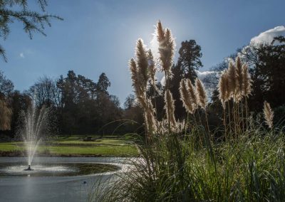 Photo of the grounds and lake at Hawkstone Hall