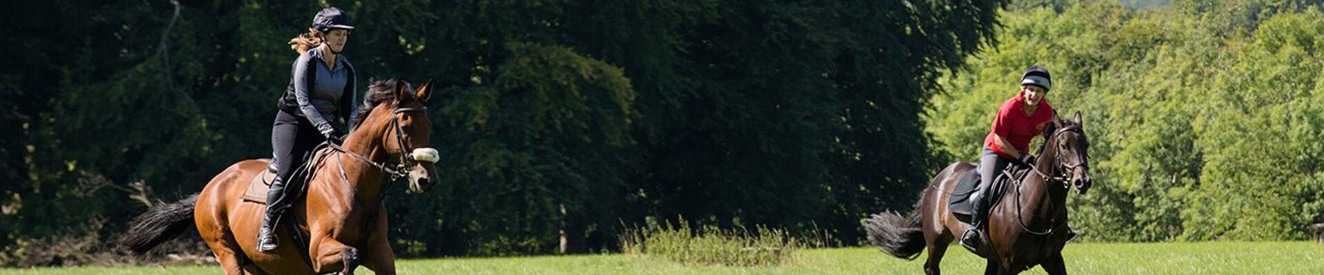 Horse riding at Lucknam Park Photo of horse riding at Lucknam Park