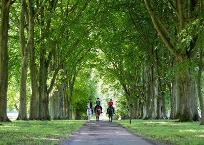 Photo of horse riding at Lucknam Park