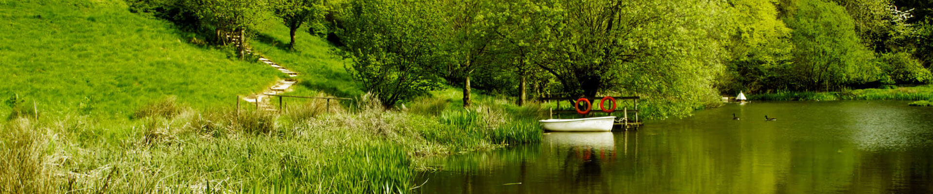 The boating lake at Arisan Manor Photo of the boating lake at Arisan Manor