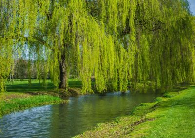 Photo of the grounds at The Elvetham