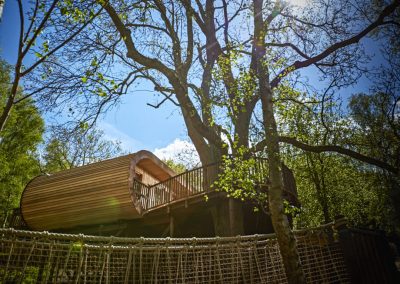 Photo of one of the treehouses at The Fish Hotel