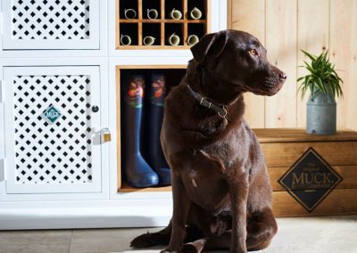 Photo of a dog at The Fish Hotel