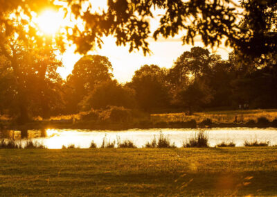 Photo of the grounds at The Langley