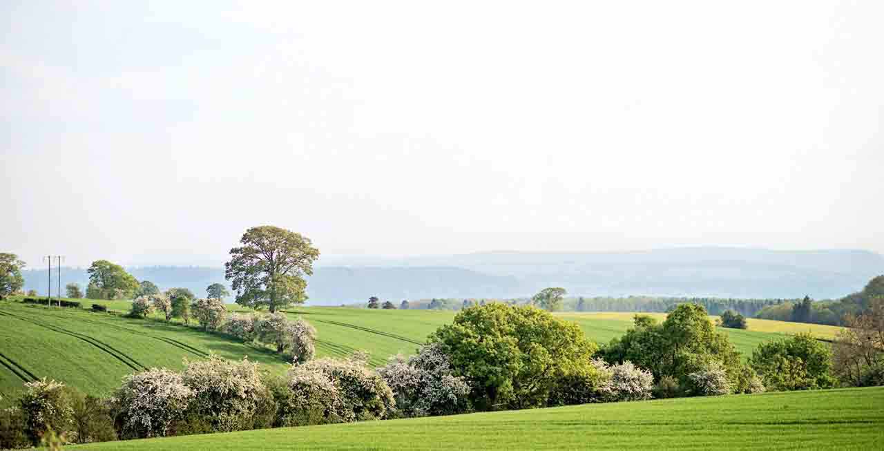 The beautiful rolling hills around The Old Byre The beautiful rolling hills around The Old Byre